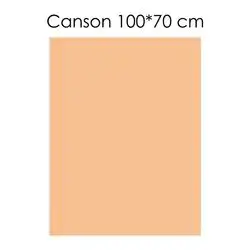 Canson Paper (Light Orange) 100 X 70 cm