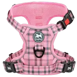 Harness S