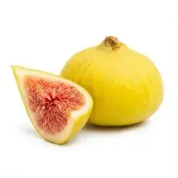 Fig