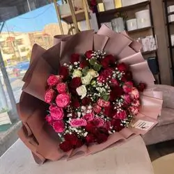 Colorful Rose