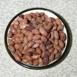 Egyption Olive
