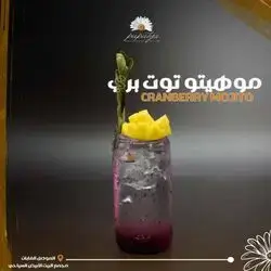 Cranberry Mojito