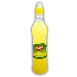 Altunsa citric acid 500g