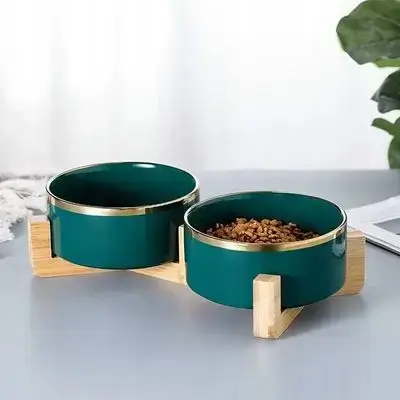 Dual Ceramic Bowl A29