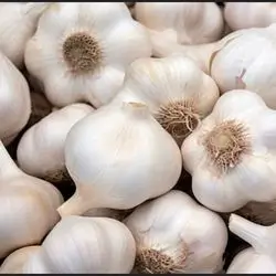 Garlic Turkish Weight