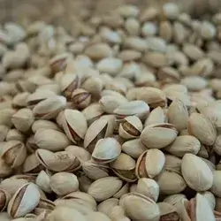 Pistachio Natural