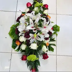 Basket Flower