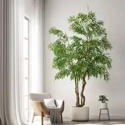 Golden Silk Bamboo