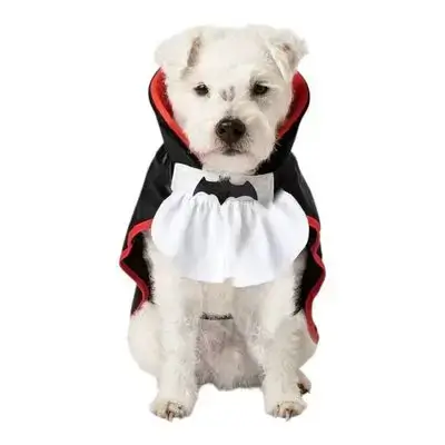 Halloween Clothes