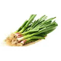Green Garlic