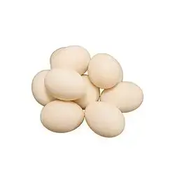 Koch Creamy Egg