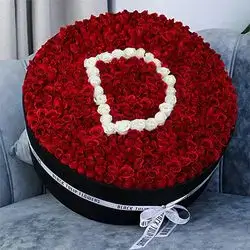 200 Roses