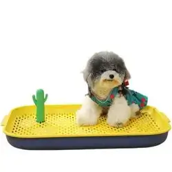 Dog Training Toilet 45cm