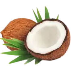 Coconut