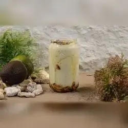 Avocado Cocktail