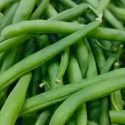 Green Beans