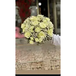 Baby Rose Flower