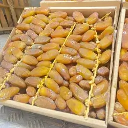 Saudi Heshu Dates