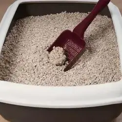Cat Litter 5L