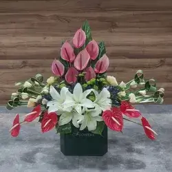 Box Flower