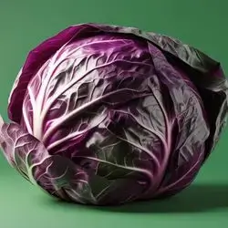 Red Cabbage