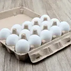 egg 15