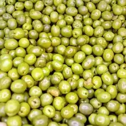Syrian Olives