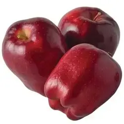 American Red Apple
