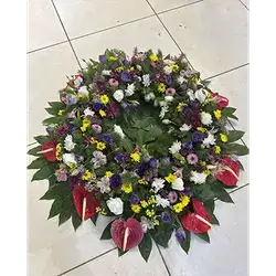 Basket Flower
