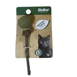 Catnip