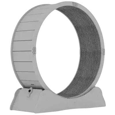 Cat Running Wheel