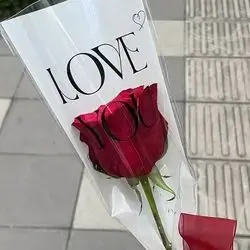 Rose With Wrapping