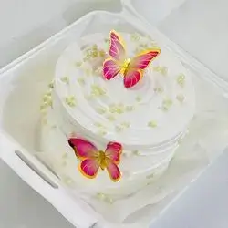 Mini Cake