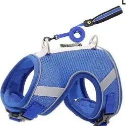 Soft Leash & Harness M
