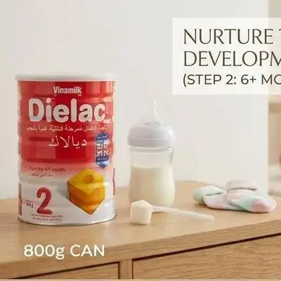 Dielac 2 Infant Formula – 800g