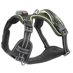 Harness LED XL