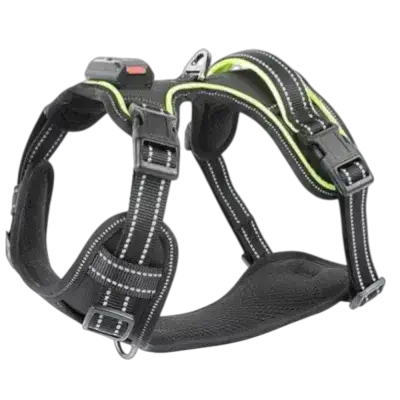 Harness LED XL