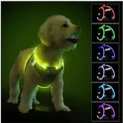 All Colours Led Harness M