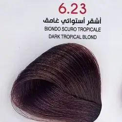 Hair Colour From The Italian Jfi In Elegant Colors - 6.23 Dark Tropical Blond