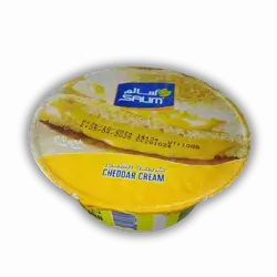 Salem Cream Cheese 100 gm