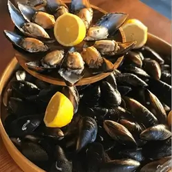 Oyster Meal