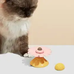 Cat Toy x001
