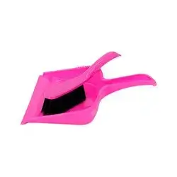 Dustpan With Brush
