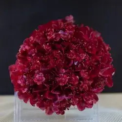Hand Bouquet
