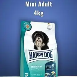 Happy Dog