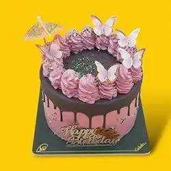 Birthday Cake - 7 People