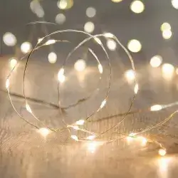 50 Warm White LED Micro Outdoor Fairy Lights