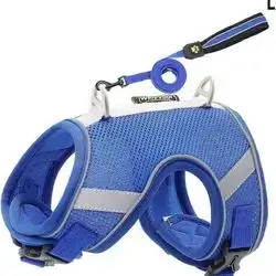 Soft Harness & Leash L