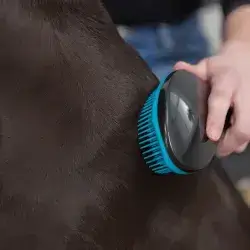 Trixie Soft Brush 19cm
