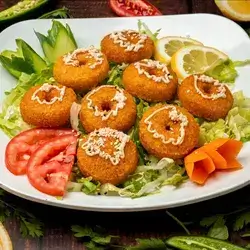 Falafel Plate